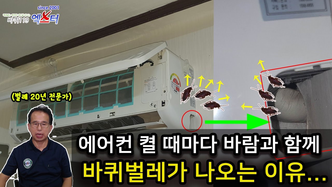 원룸 바퀴벌레 퇴치.. 에어컨 켤 때마다 바람과 함께 미국바퀴벌레가 나오는 이유