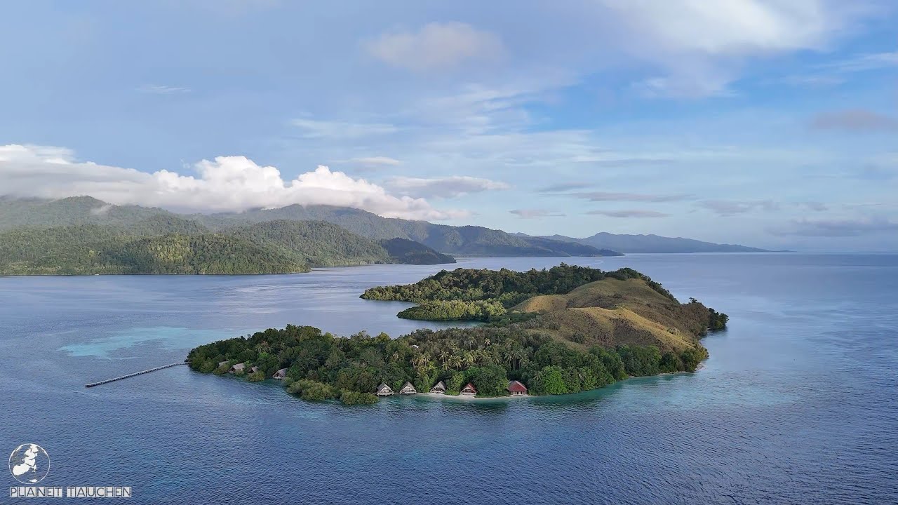 Diving with KUSU ISLAND RESORT South Halmahera, INDONESIA