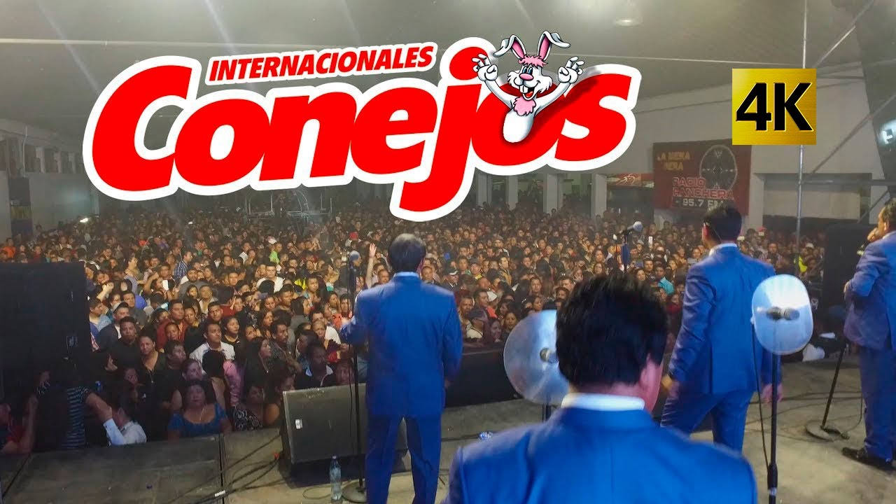 Suave y Tierno (Nice and Slow) 4K - Internacionales Conejos
