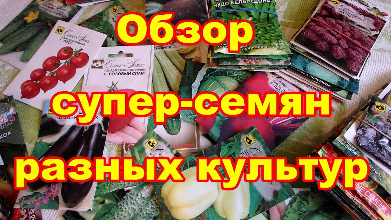 Обзор семян супер- растений раннего срока созревания и урожайности плодов