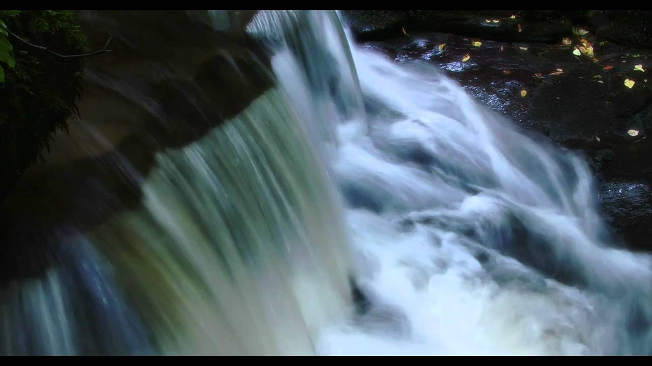 CWM CLYDACH NATURE RESERVE