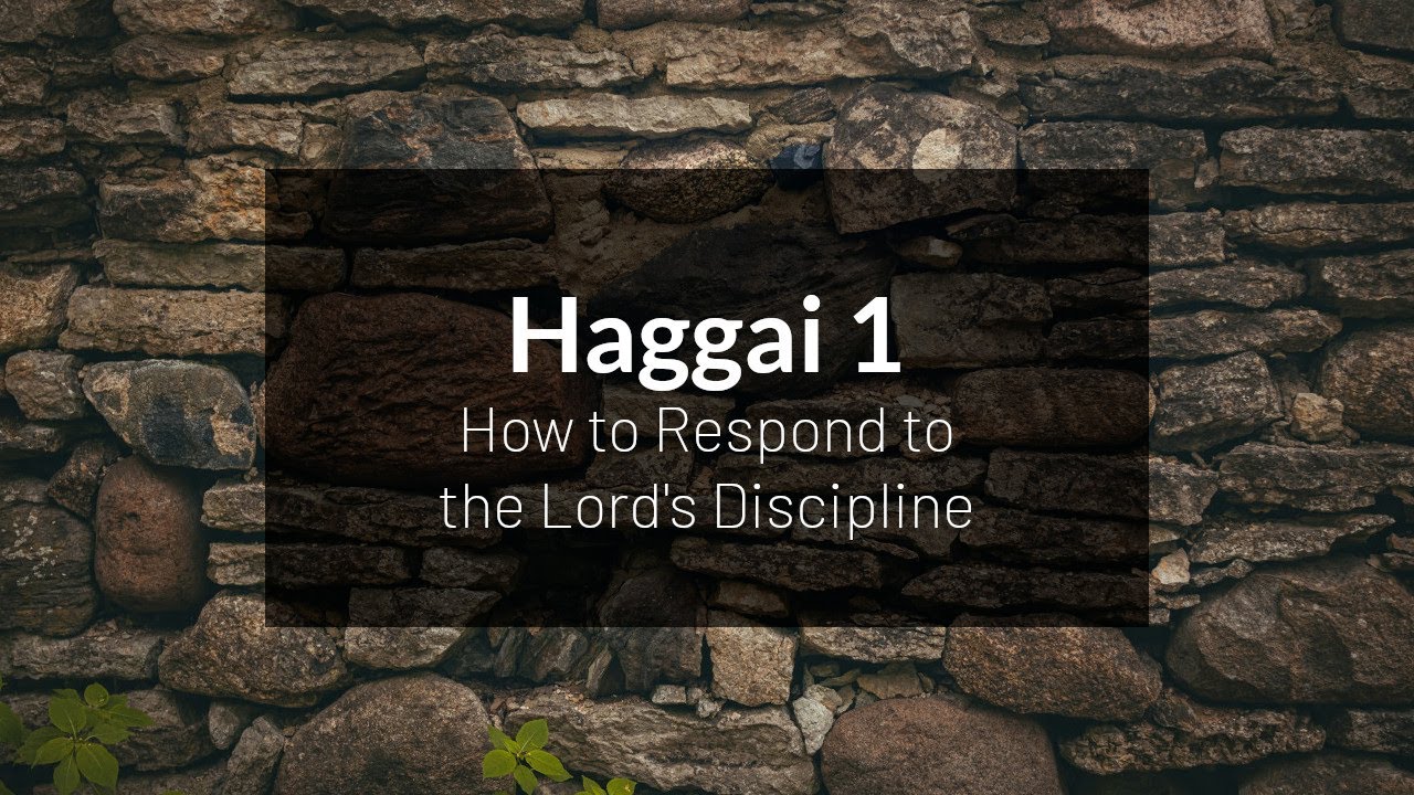 How to Respond to the Lord’s Discipline - Haggai 1:1-15