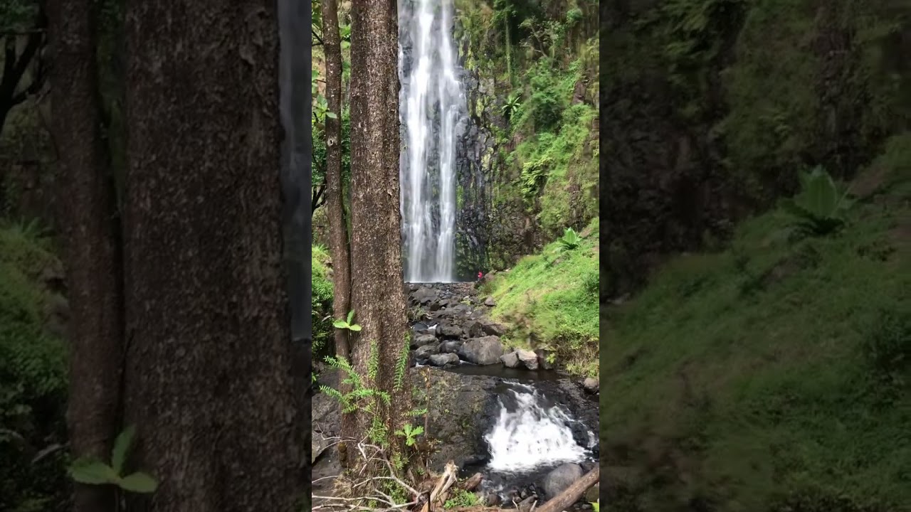 The Roaring yet soothing sound of materuni waterfall located at the heart of kilimanjaro region.