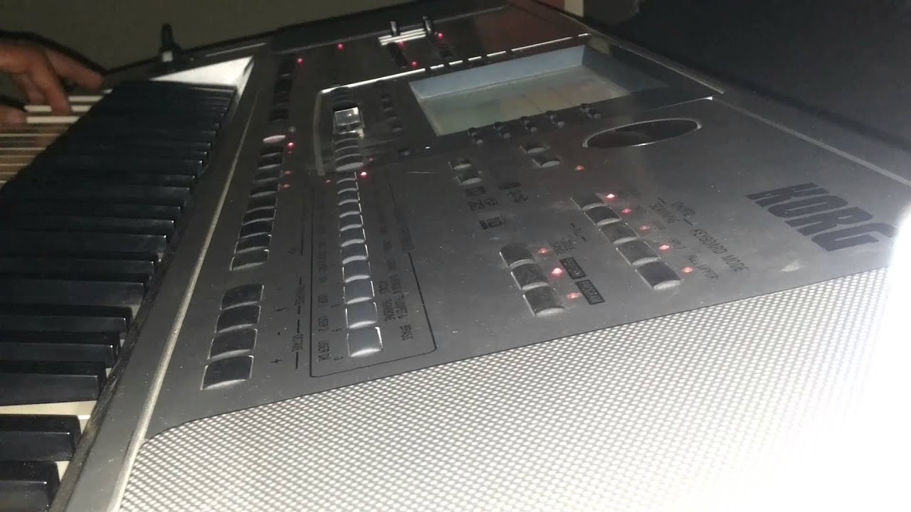 ZANA U ANDOK amator korg pa50
