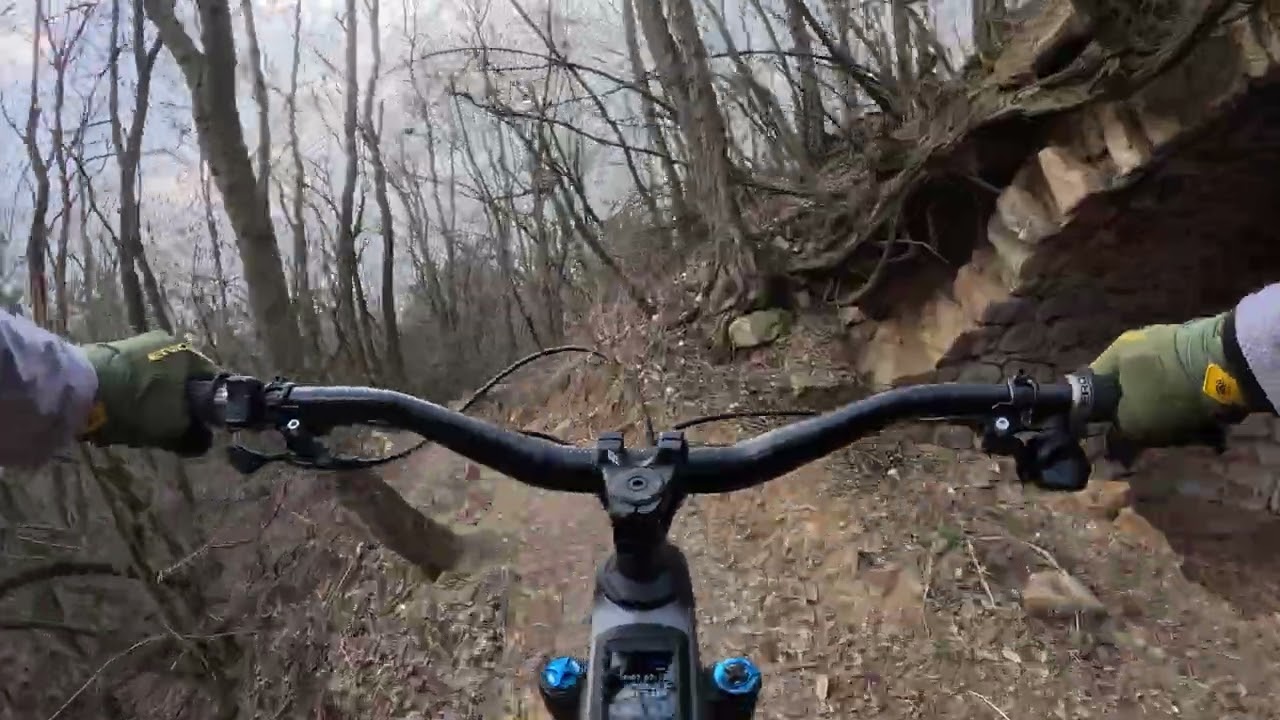 2026. március 5. Magic Mary hazafelé
