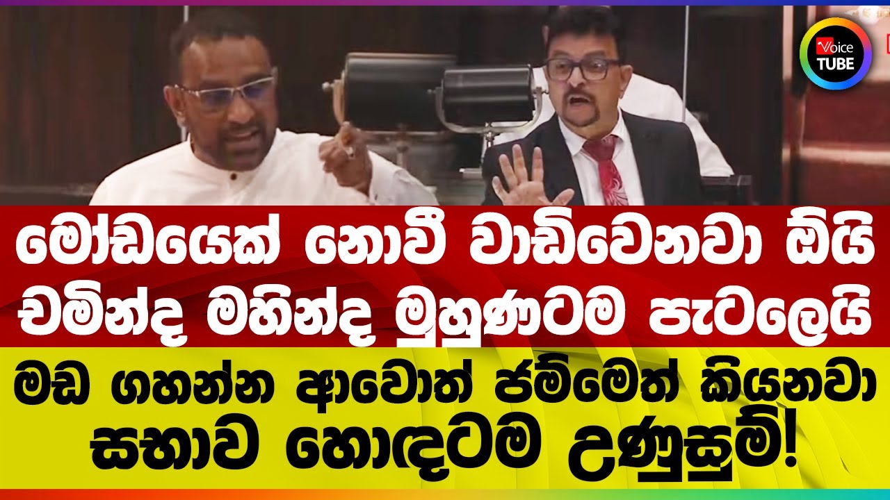 මෝඩයෙක් නොවී වාඩිවෙනවා ඕයි | චමින්ද මහින්ද මුහුණටම පැටලෙයි | මඩ ගහන්න ආවොත් ජම්මෙත් කියනවා
