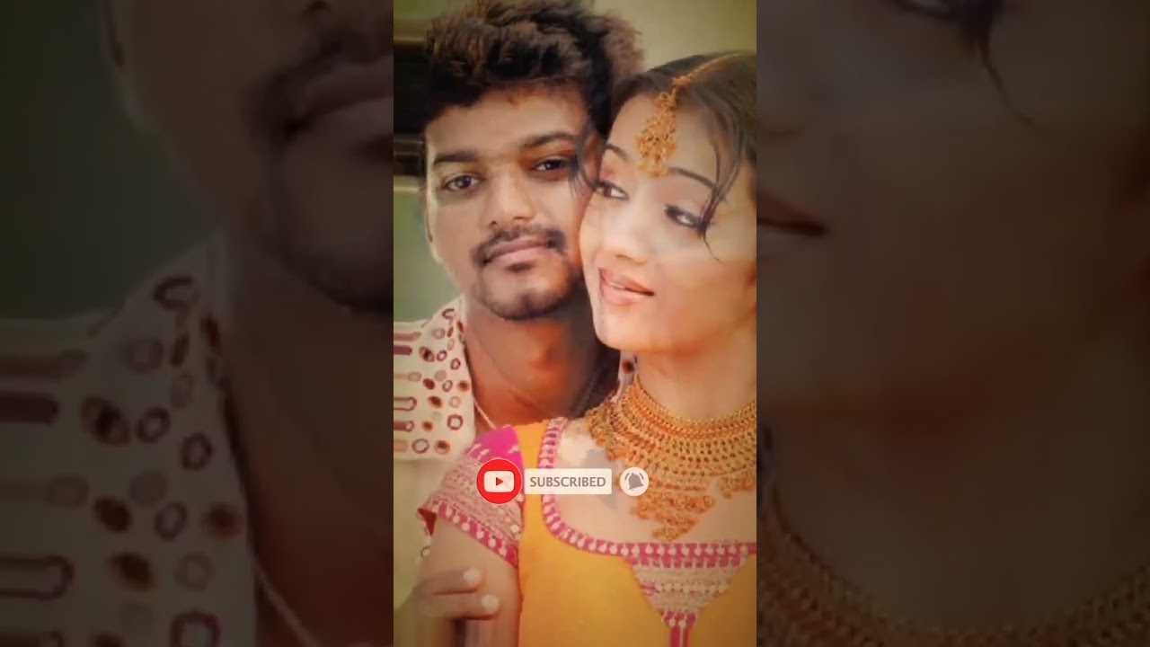 Thalapathy Vijay Trisha Cutest Love WhatsApp Status Video#vijay #trisha #shorts