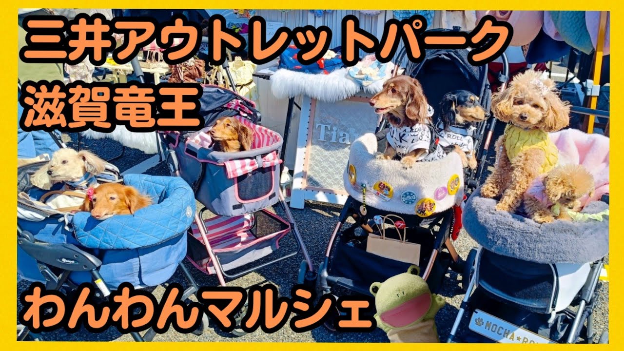 三井アウトレットパーク滋賀竜王で開催されたマルシェが楽し過ぎました。【関西弁でしゃべる犬】