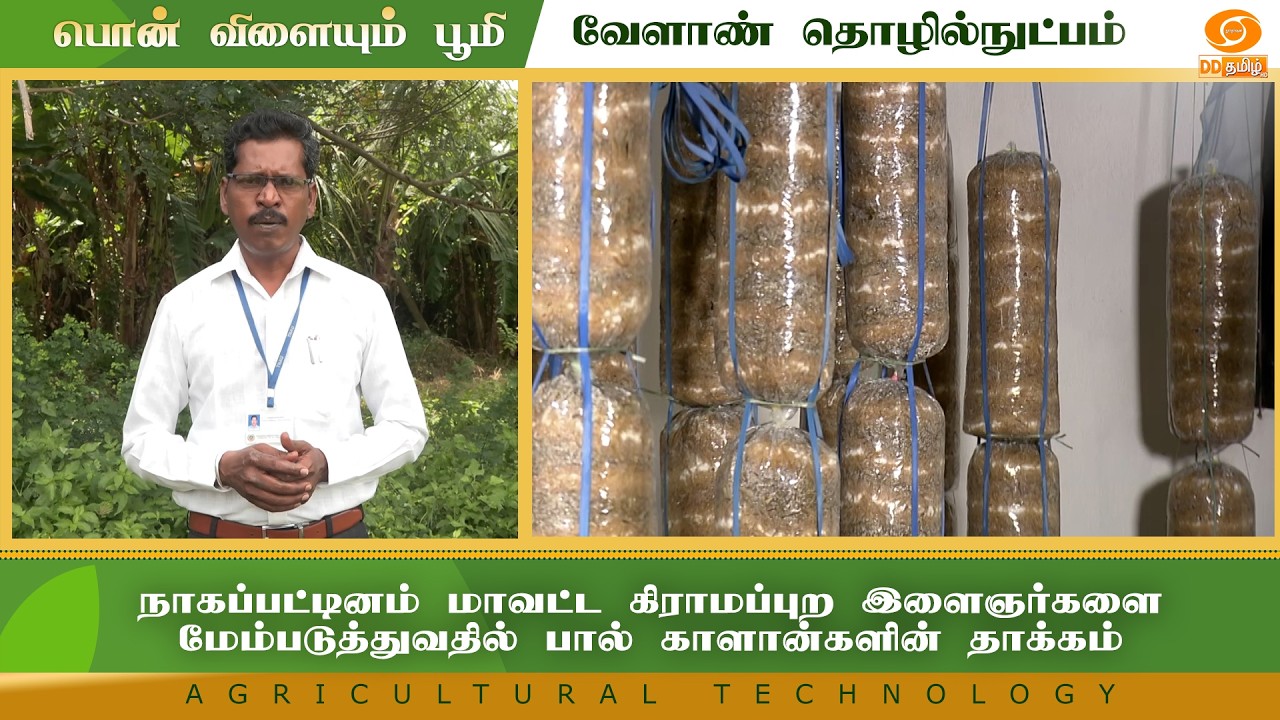 நாகப்பட்டினம் மாவட்ட கிராமப்புற இளைஞர்களை மேம்படுத்துவதில் பால் காளான்களின் தாக்கம்|Agriculture Tech