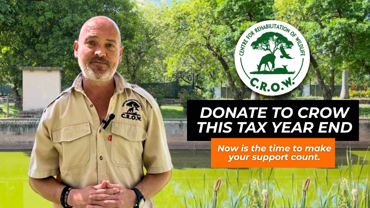 Donate To Crow This Tax Year End