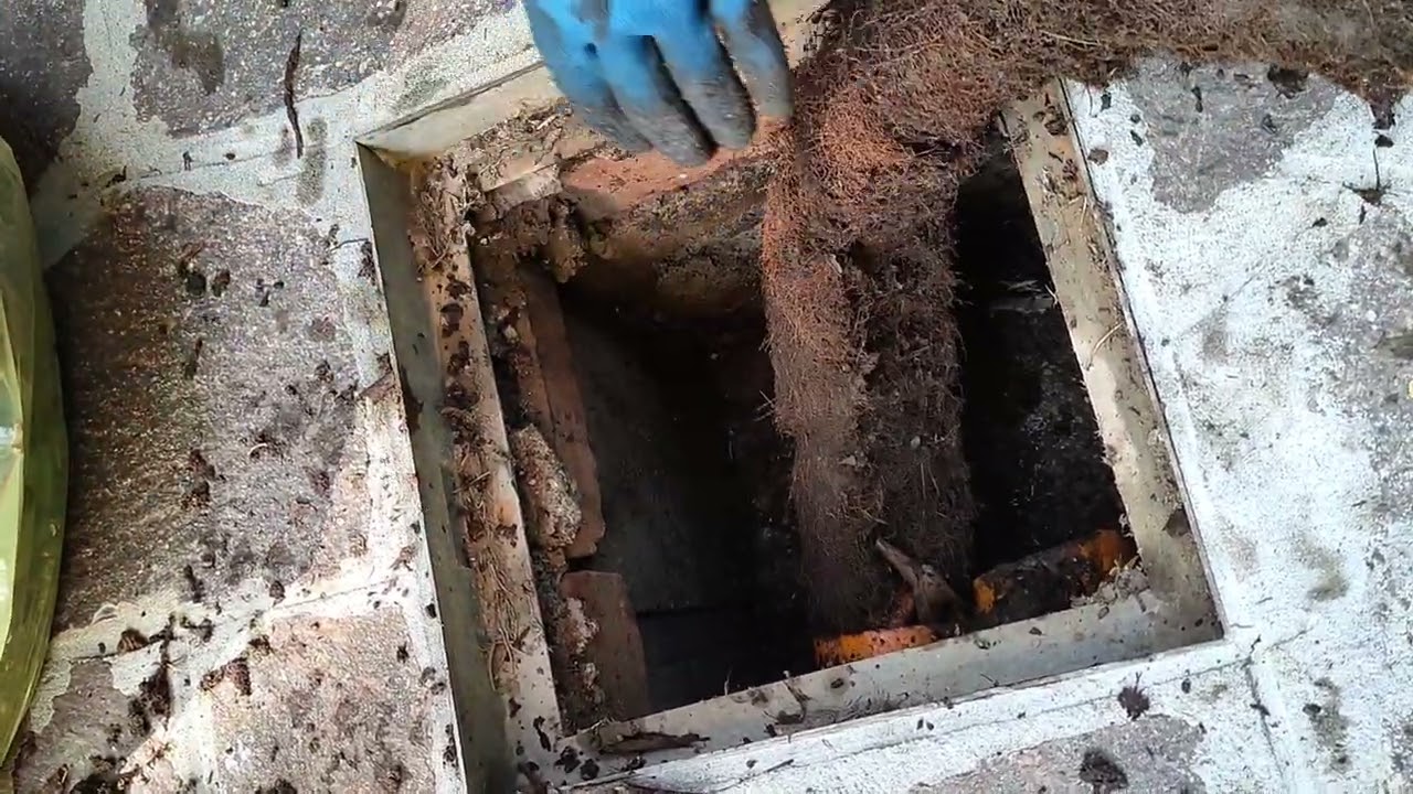 Tubo di scarico ostruito da una radice