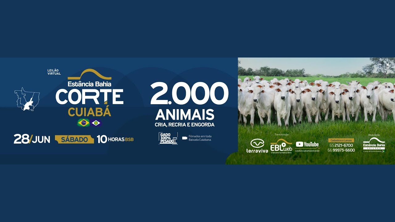 LEILÃO VIRTUAL ESTÂNCIA BAHIA CORTE – CUIABÁ | 28/06/2025 – 10H
