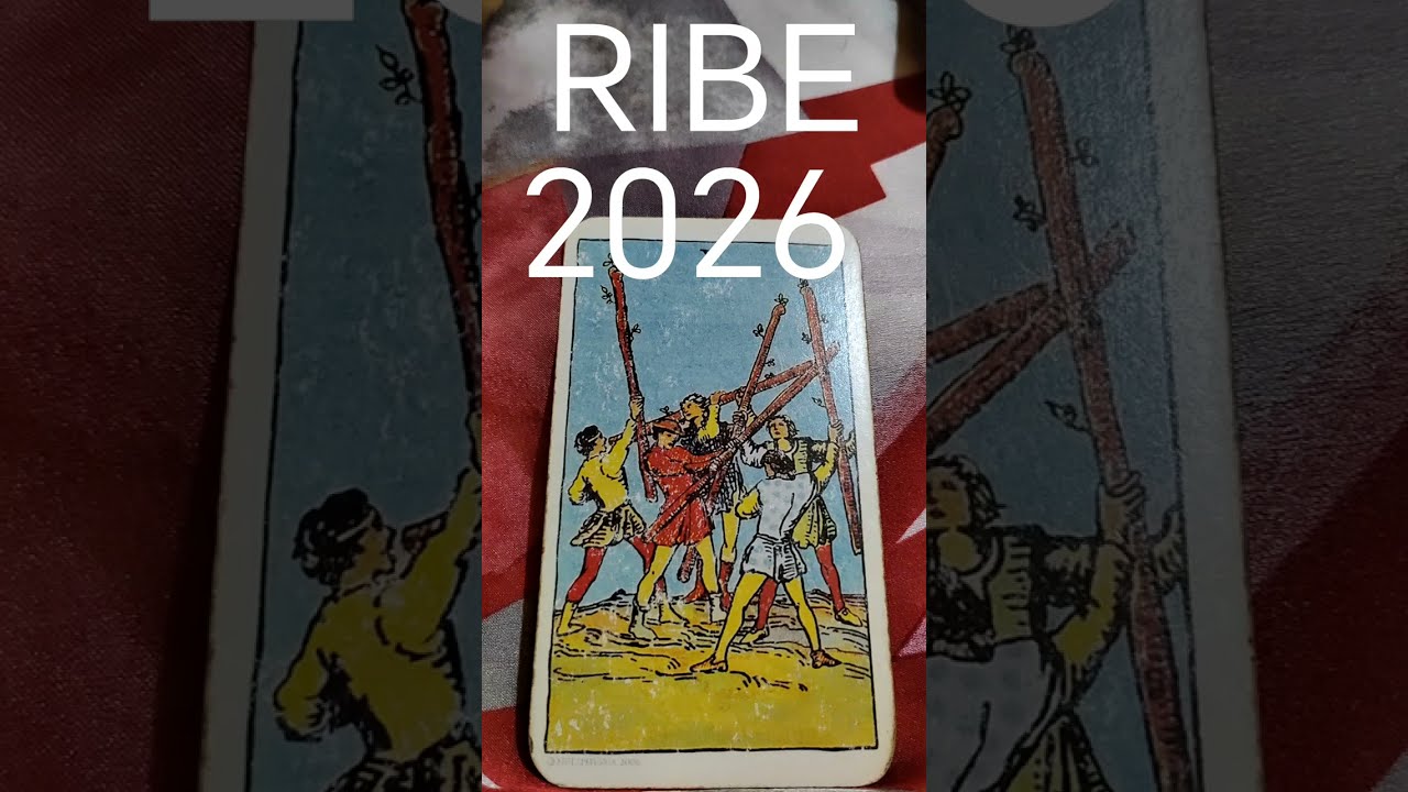RIBE 💖2026 