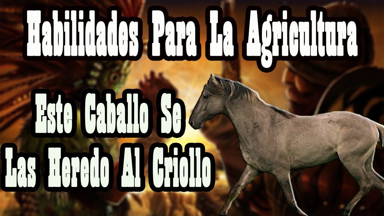 Origen Del Criollo Mexicano Epi.2 (Caballo De Sorraia)🐴-Del Cerro Soy
