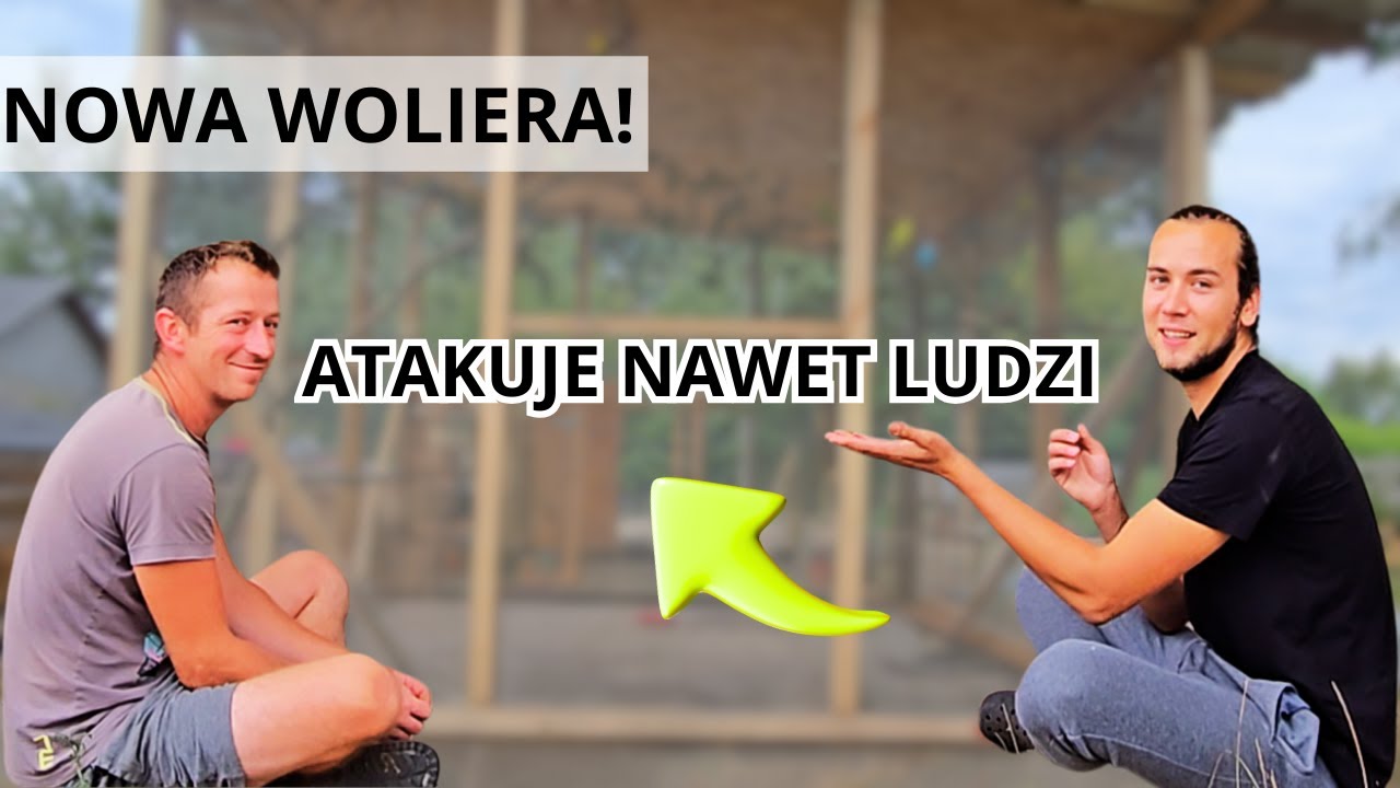 NAJWIĘKSZA PAPUGA NA ŚWIECIE! NOWA WOLIERA DLA PAPUG / ŻYCIE NA WSI