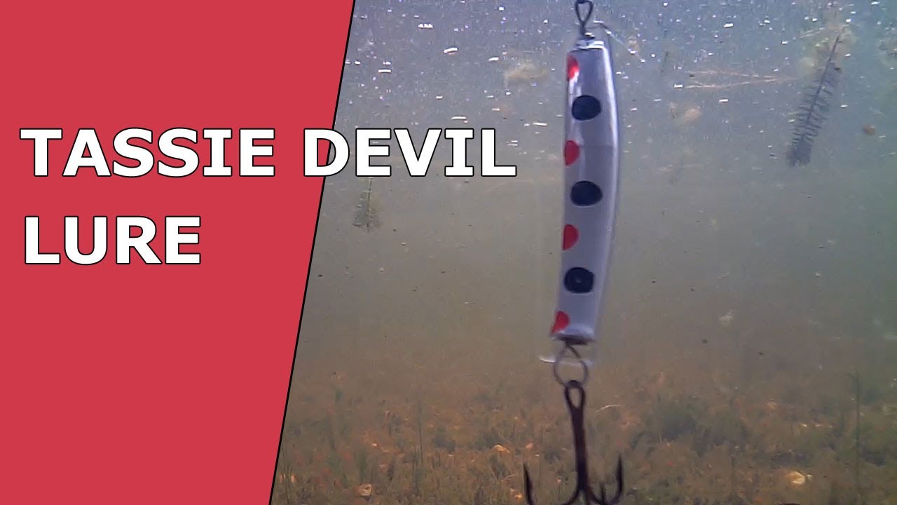 FISHING | Underwater Video TASSIE DEVIL Lure Action