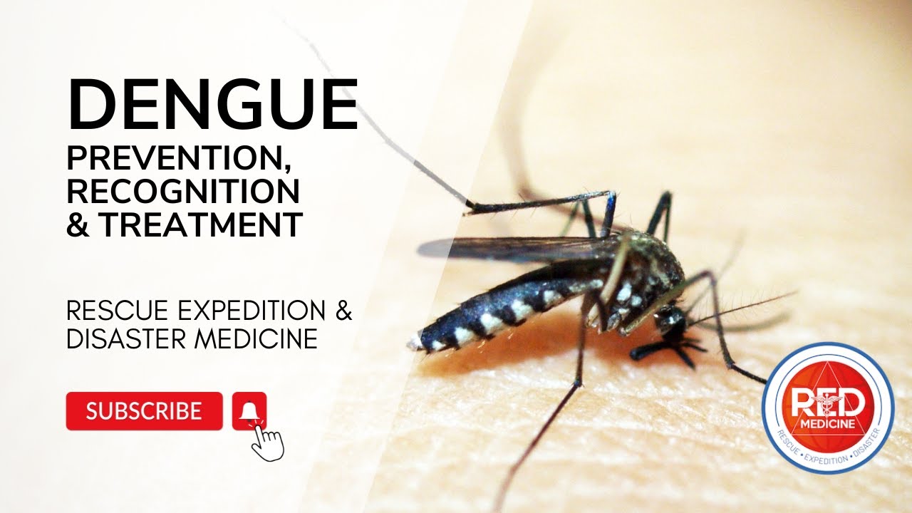 Ep. 35 Dengue: Prevention, Diagnosis & Field Treatment