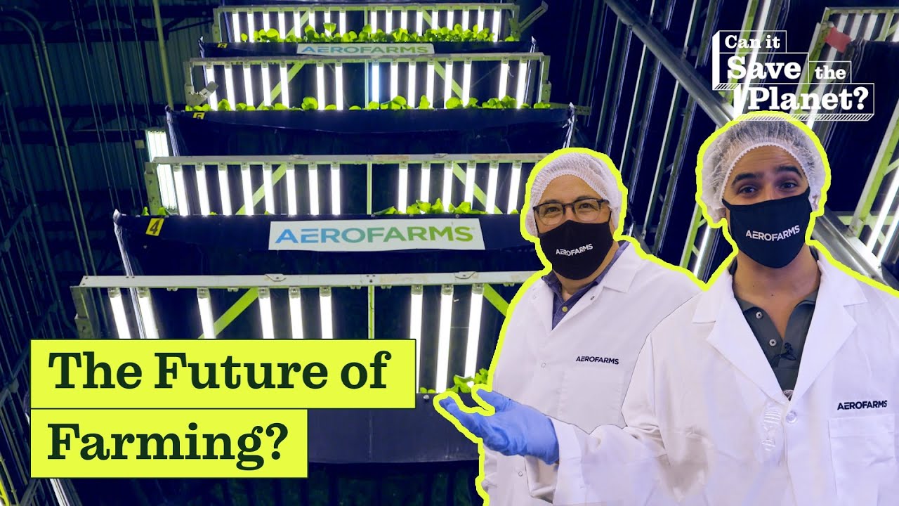 Can Vertical Farming Save the Planet?