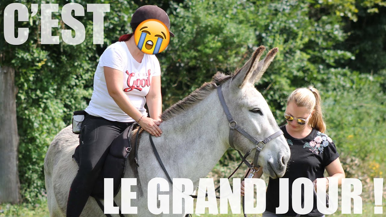 VLOG | DÉBOURRAGE DE GOOD !!