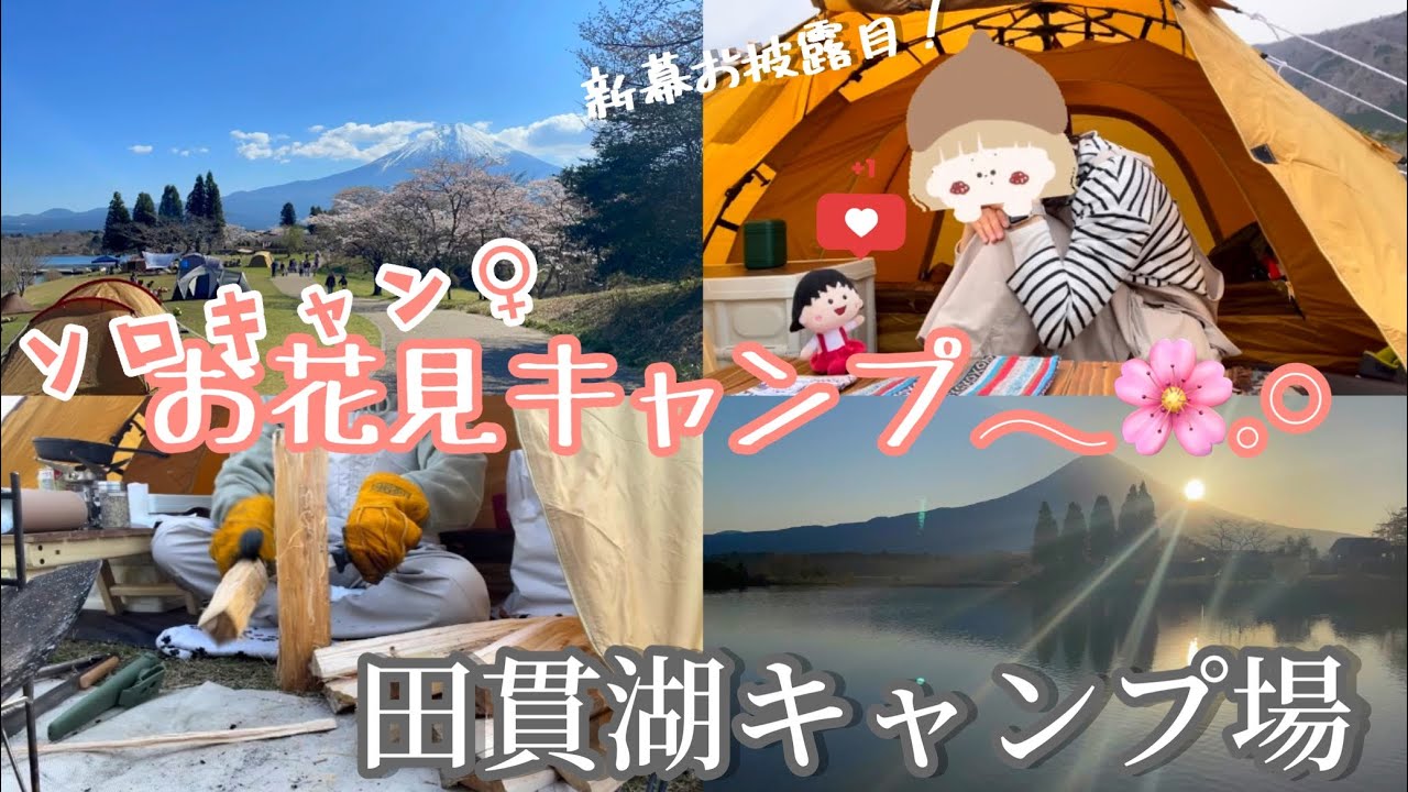 【ソロキャン】「新幕でお花見気分を味わいながらぼっちを楽しんでましたᕦ( ᐛ )ᕡ」の巻　田貫湖キャンプ場#ソロキャンプ #田貫湖 #お花見 #桜 #インスタントアップドーム #キャンプ #キャンプ飯