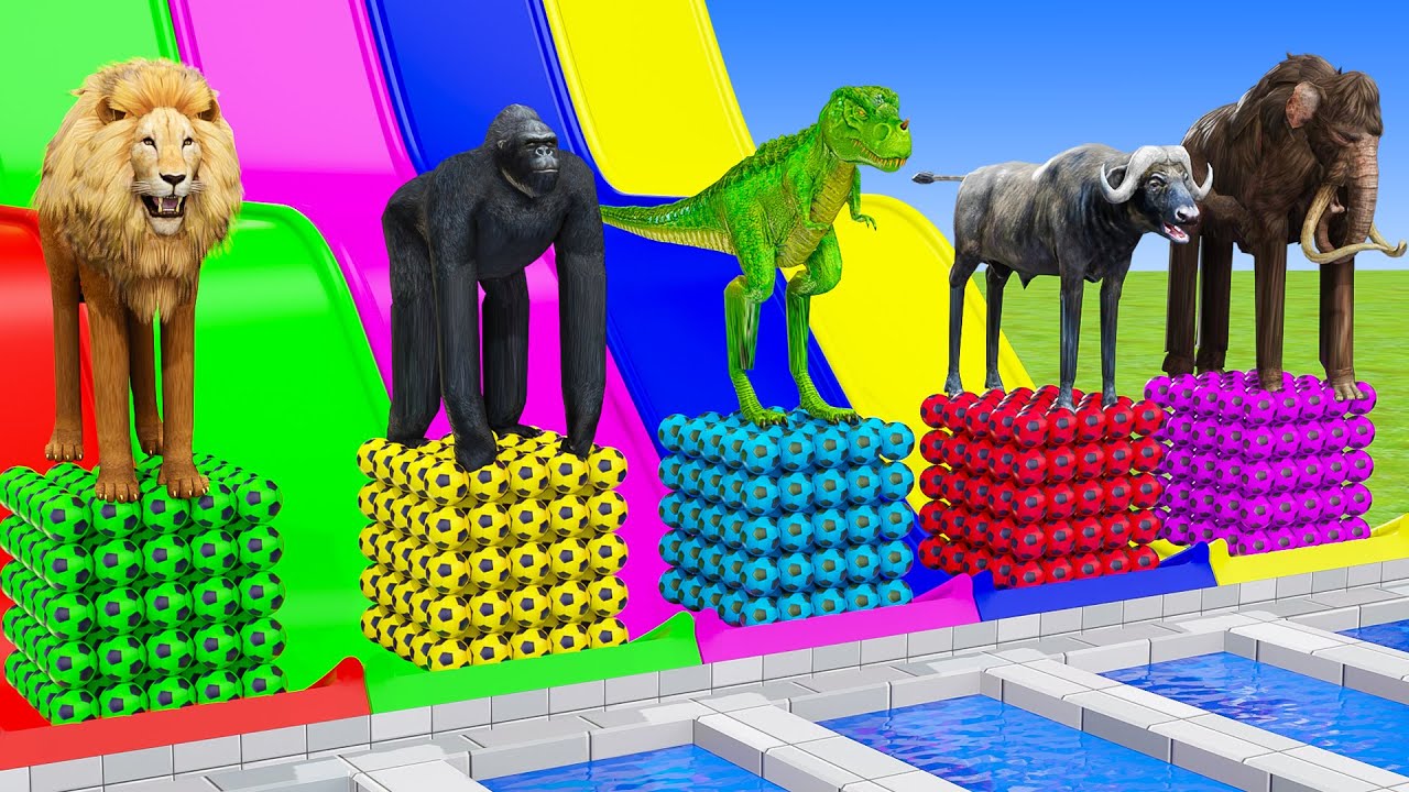 Long Slide Game With Elephant Gorilla Buffalo Hippopotamus Tiger 3d Animal Game Funny 3d Animals