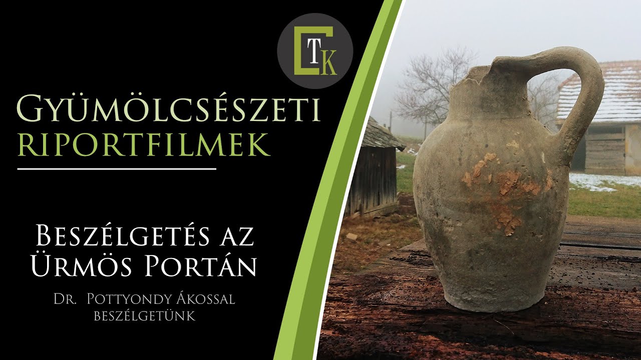 Beszélgetés az Ürmös Portán (Pannonhalma)