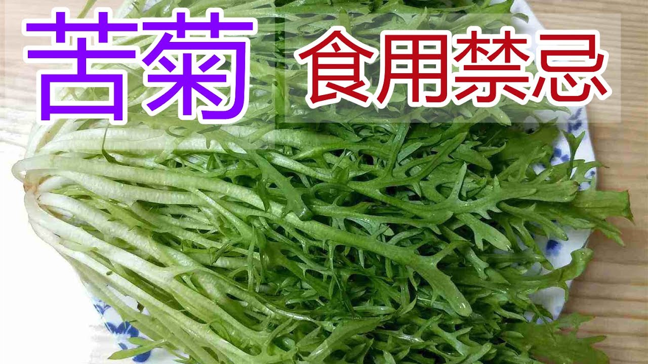 苦菊的功效和作用，苦菊食疗方法,苦菊食用禁忌