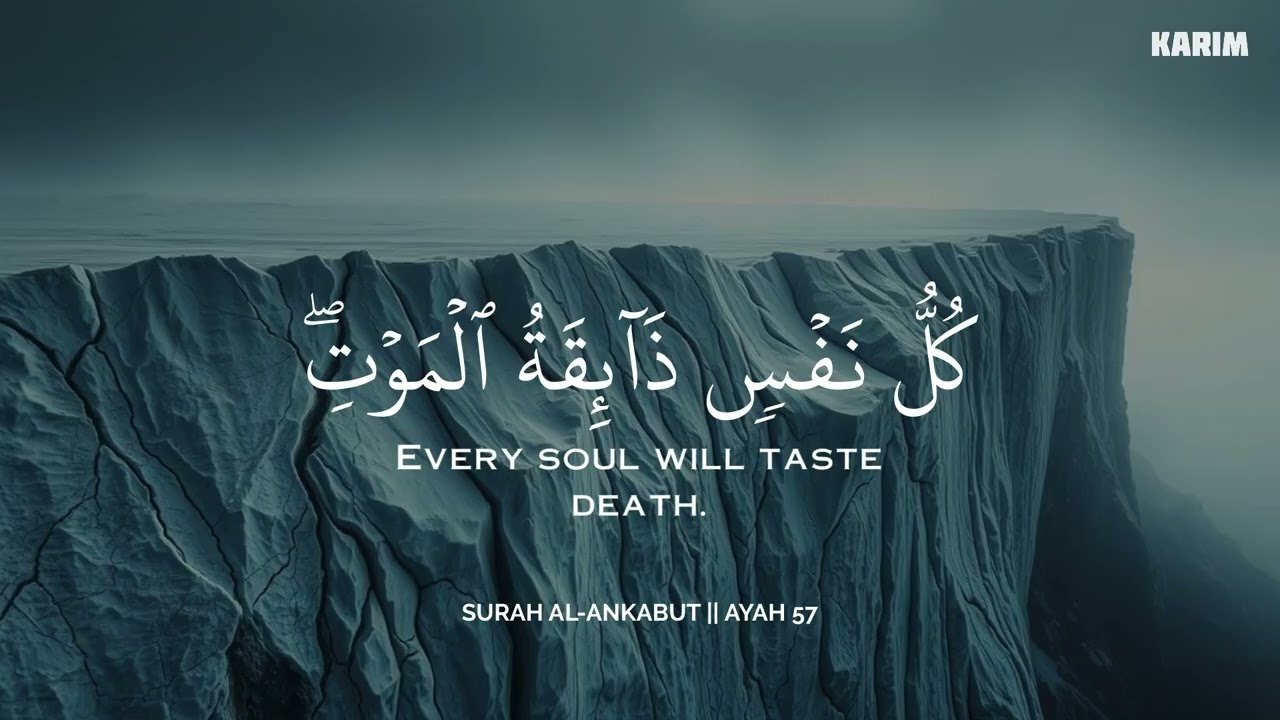 رح سمعك وقلبك بالقرآن❤️🎧 وأستمع لتلاوة هادئه بصوت محمد هشام | راحة نفسية😌 | Mohamed Hesham