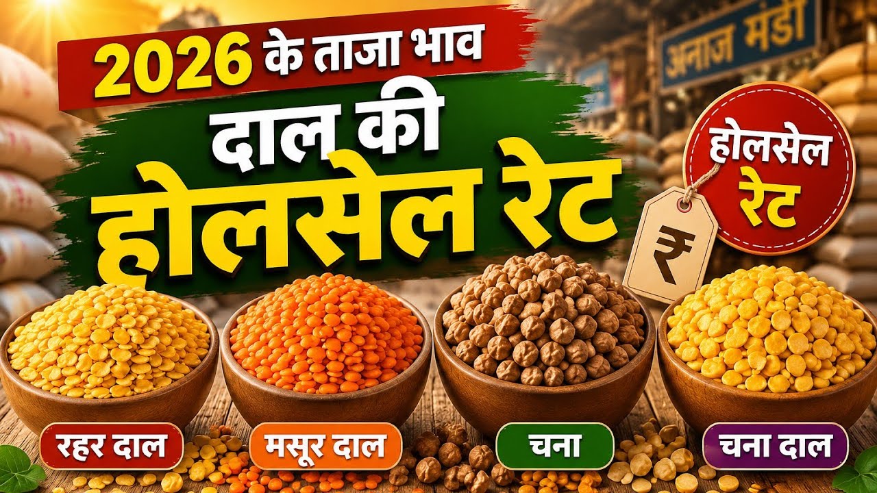Latest Wholesale Rates for Tur, Masoor, Chana, and Chana Dal 2026 | Today's Market Prices