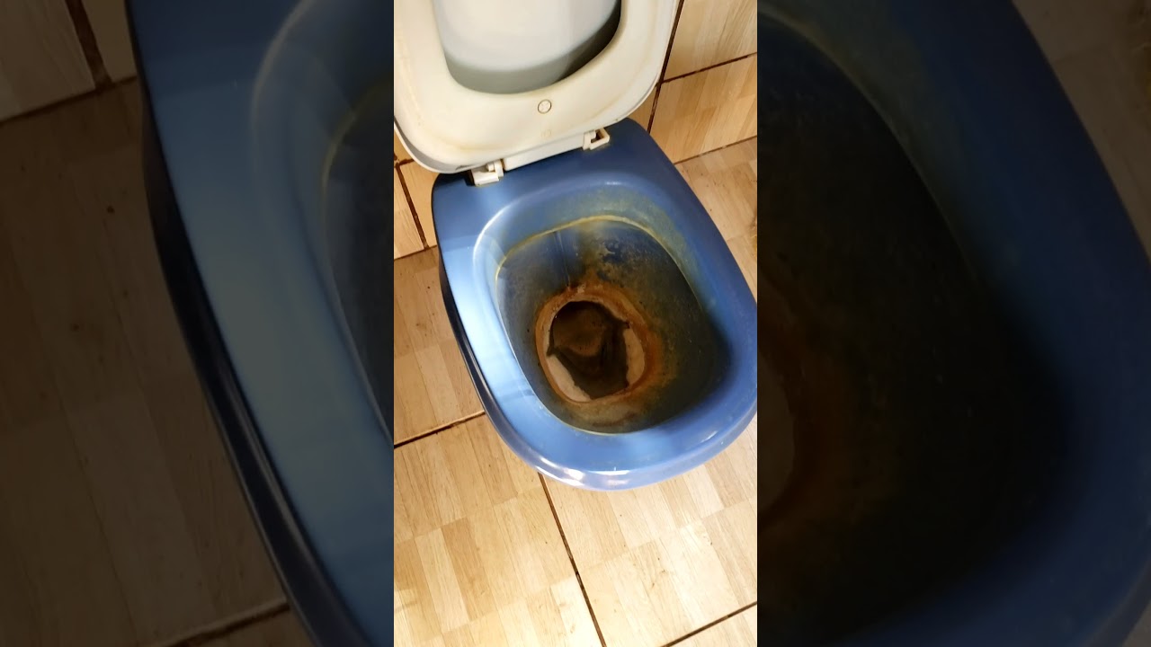 como limpar  vaso sanit&aacute;rio de casa de aluguel