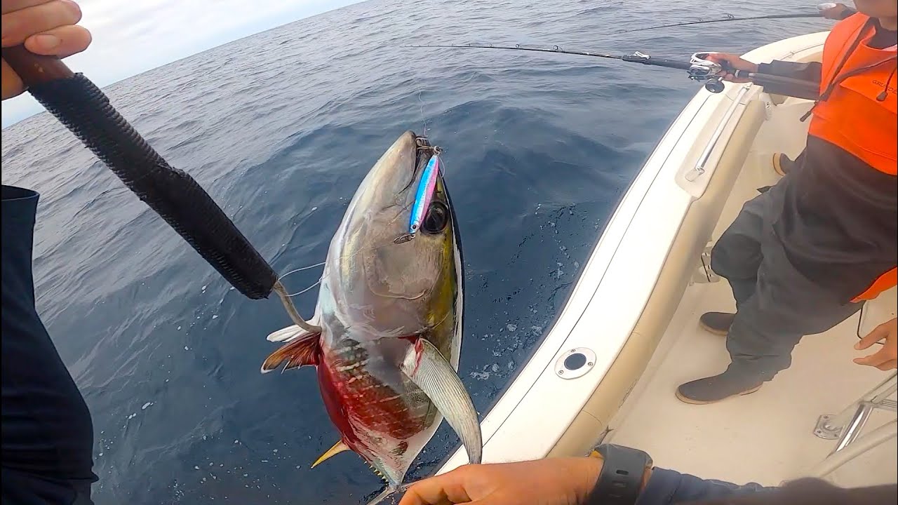 Fishing the Shimano Flat Fall & Colt Sniper Lures | SD Fish and Sips Experiences Over the Years SDFS