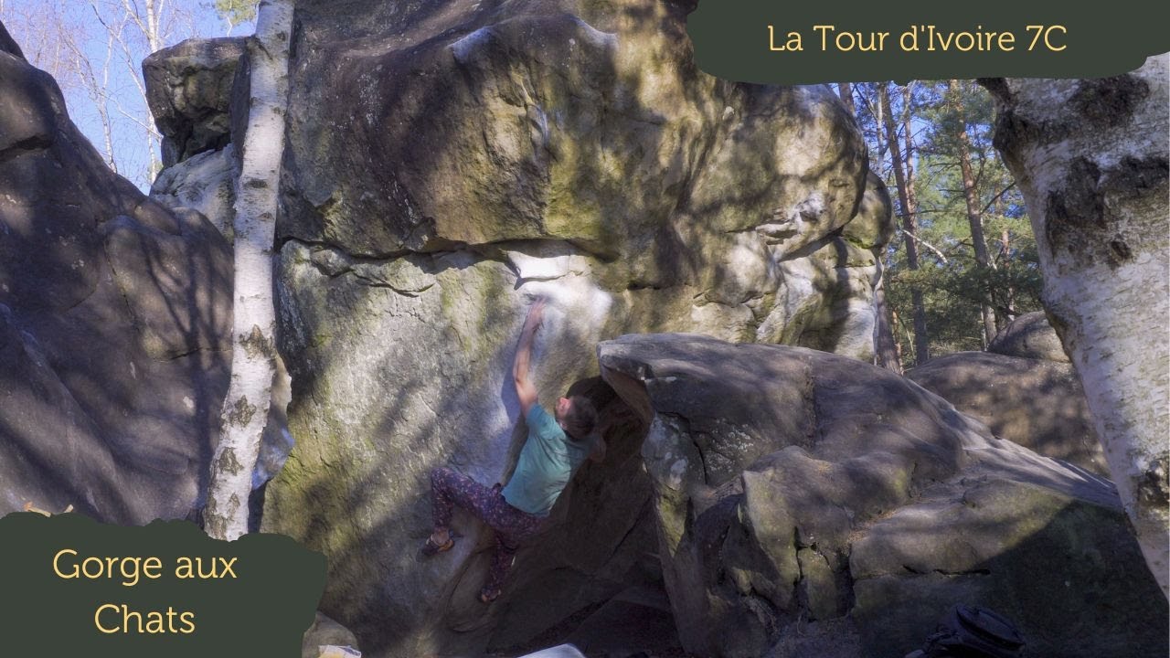 La Tour d'Ivoire 7C / Gorge aux Chats / Fontainebleau