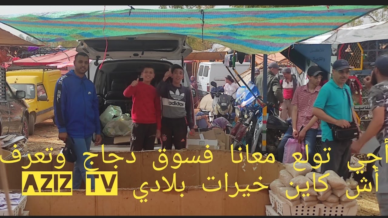 من أحسن أسواق دجاج الفيومي بيبي أرانب فلالس طاوس خيرات بلادي Aziz Tv لتواصل 0682823532