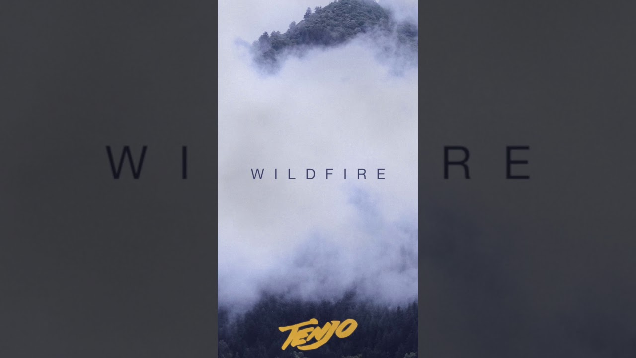 Tenjo - Wildfire (Lyric Video)