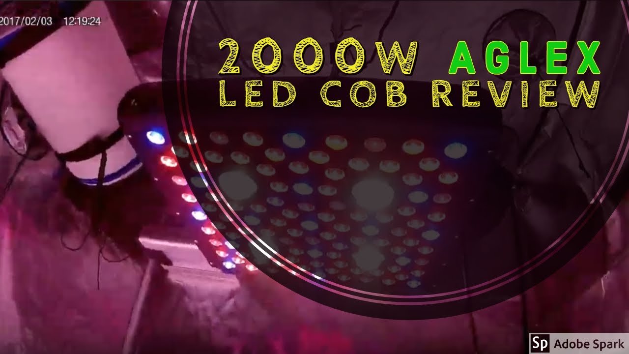 AGLEX 2000W COB GROW LIGHT!
