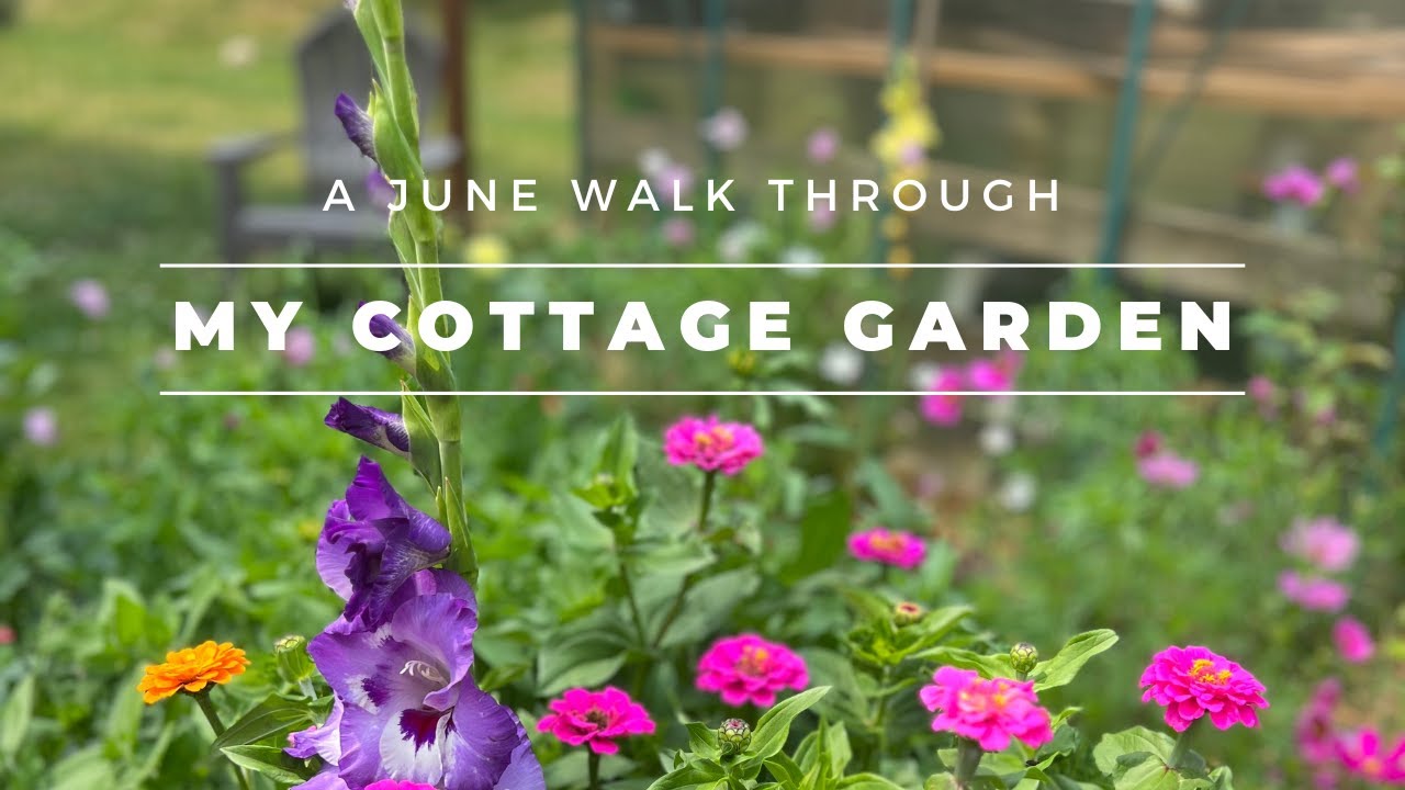 A June Cottage Garden Tour | Welcome Summer | The Southern Daisy