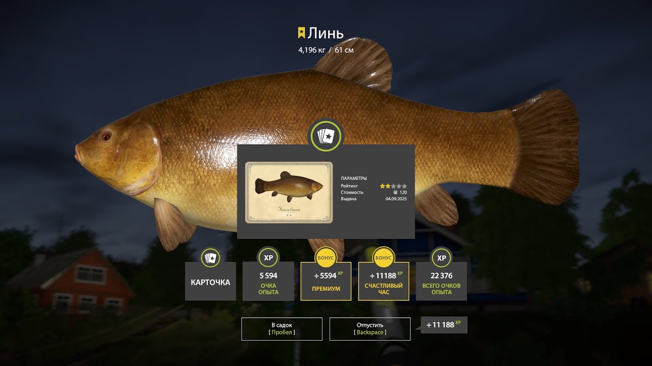 Раздача трофейного Линя и Карася на Комарином. Русская рыбалка 4. РР4.