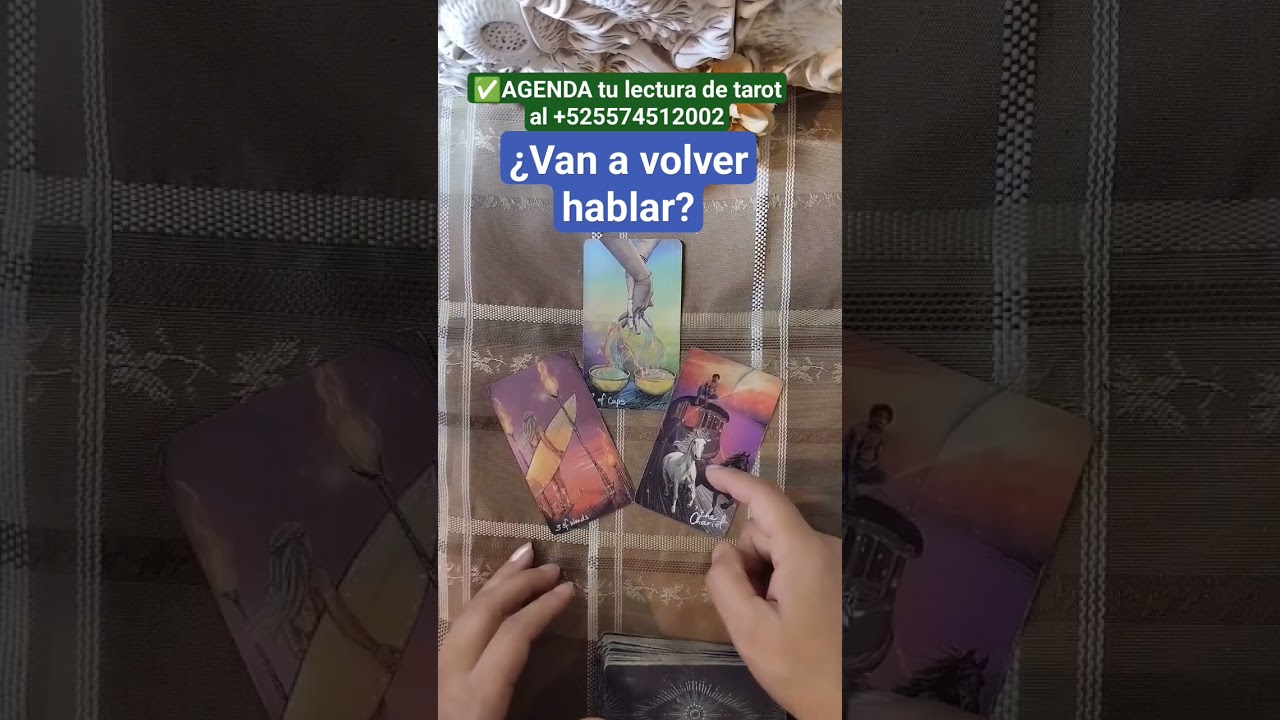 😘❤️&iquest;Van a volver hablar? tarot interactivo tarot amor #futuroenelamor #tarothoy