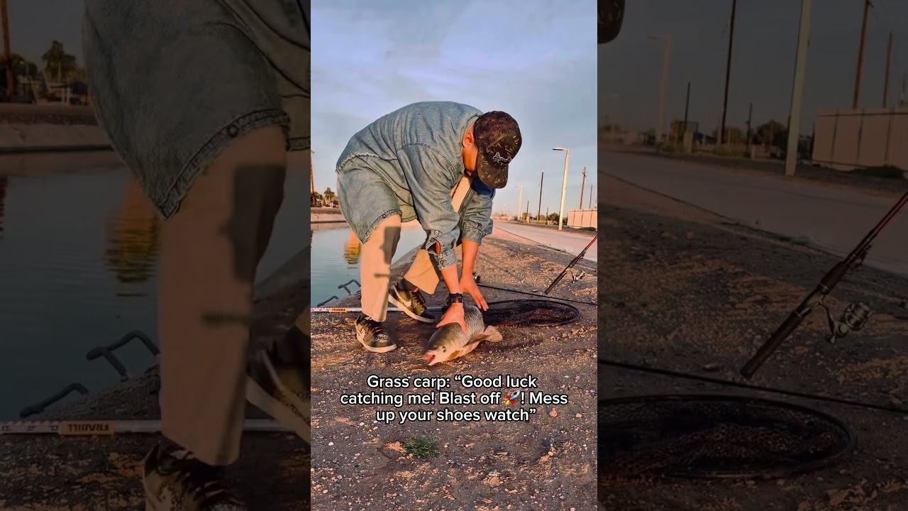 #carp #fish #pesca #feedthesoul #thestarvingfisherman #fishing #fypシ #foryou #urbanfishing #explore