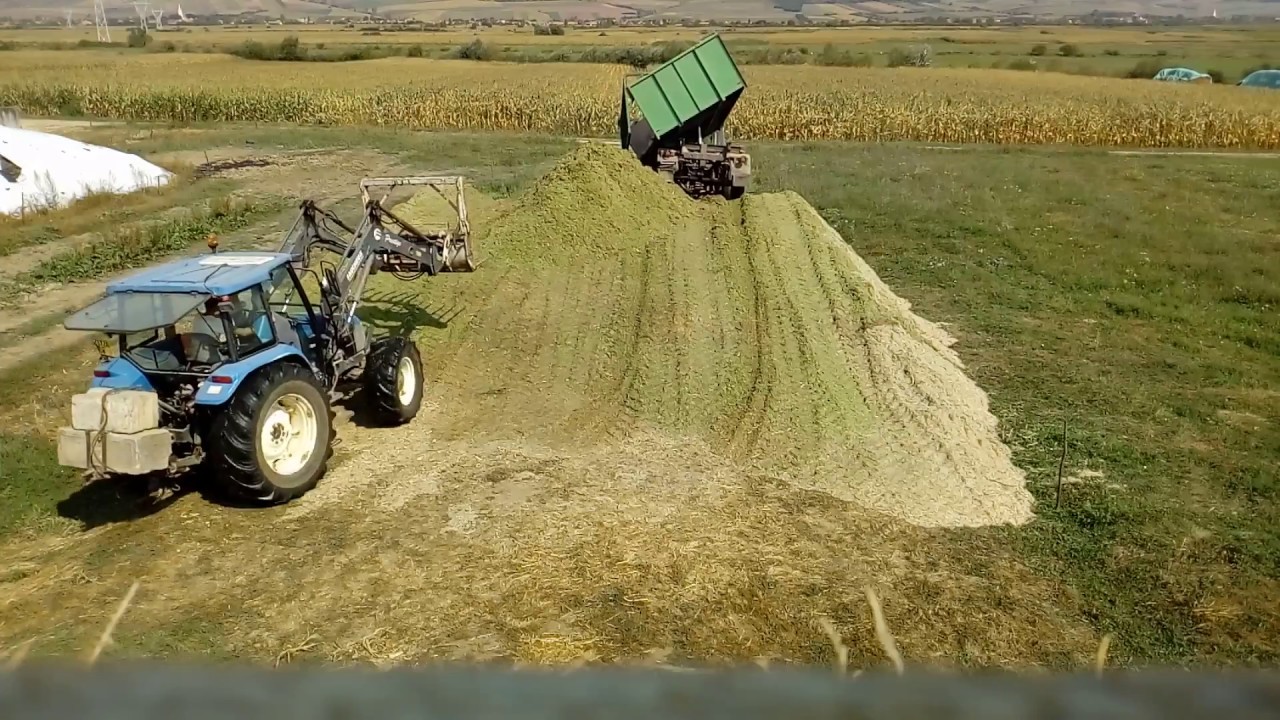 Silozás 2018  (Silage 2018..)  Claas Jaguar 680,Massey Ferguson,Ford,New Holland,Renault Landini...