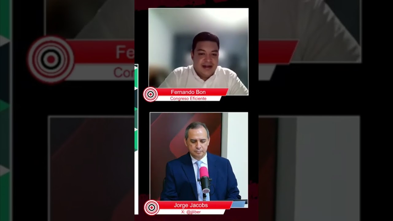 &iquest;Qui&eacute;nes proponen las leyes?