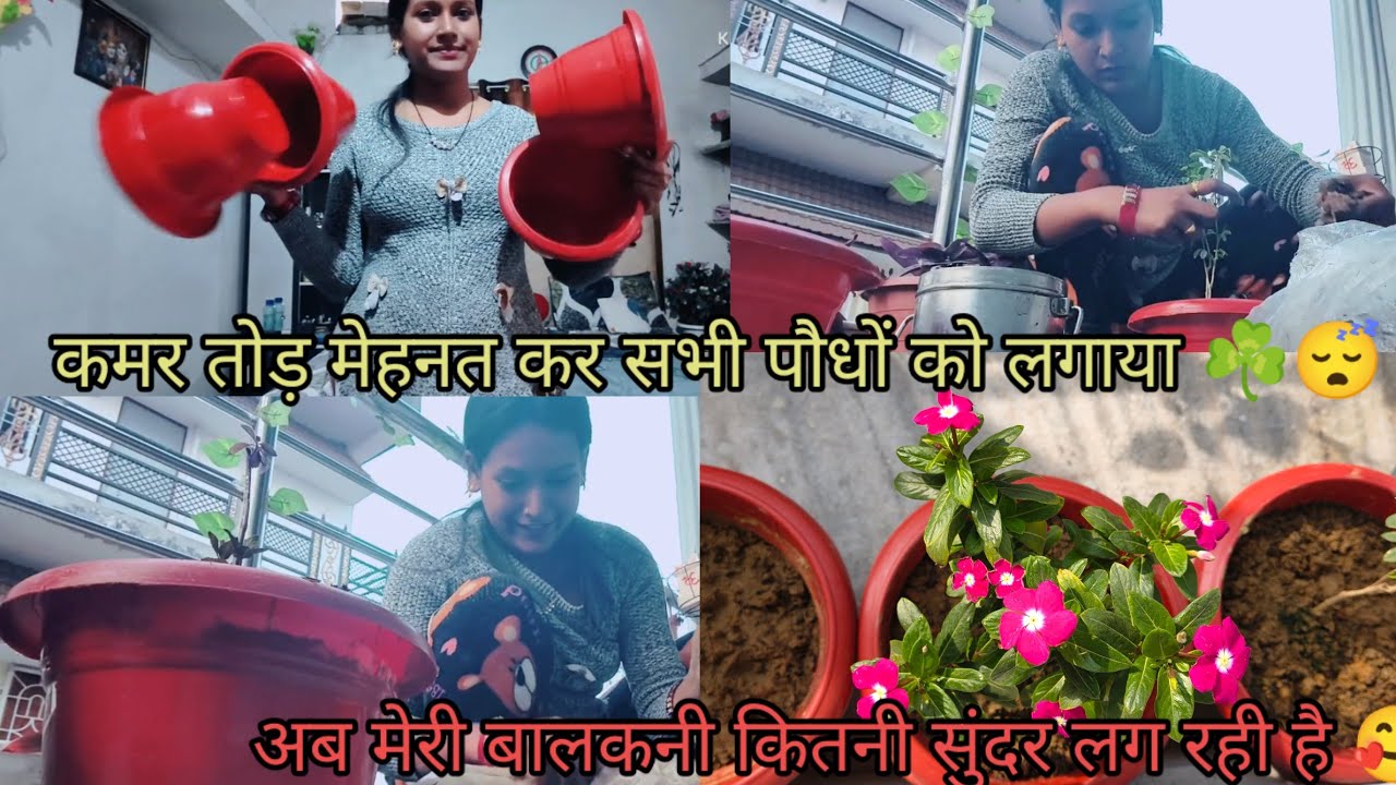 कमर तोड़ मेहनत कर सभी पौधों को लगाया ☘️ अब मेरी Balcony कितनी सुंदर दिख रही है 🥰 #Plantslover 