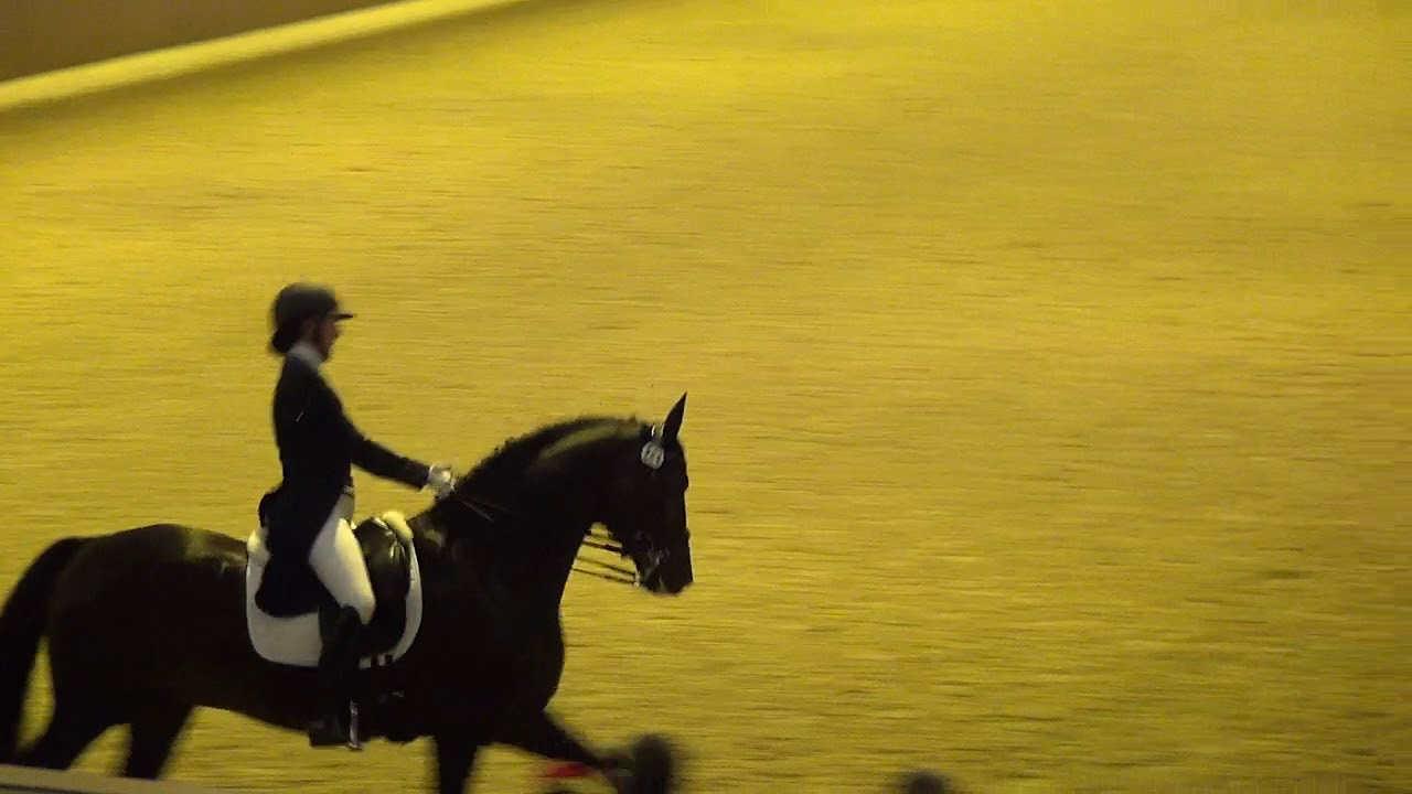 Sanceo & Sabine Schut-Kery I-2 in Ankum Germany
