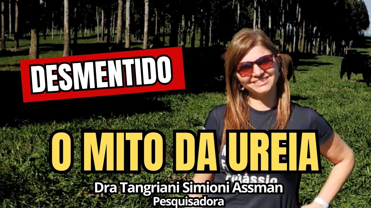 É ASSIM que se aduba pasto com ureia (Nova Recomendação Científica)
