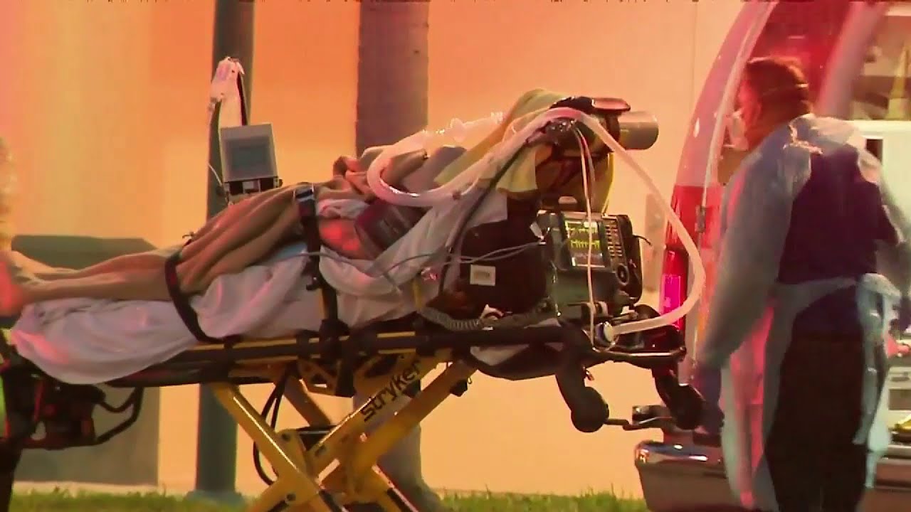 Doctors in Broward and Miami-Dade treat cruise ship passengers