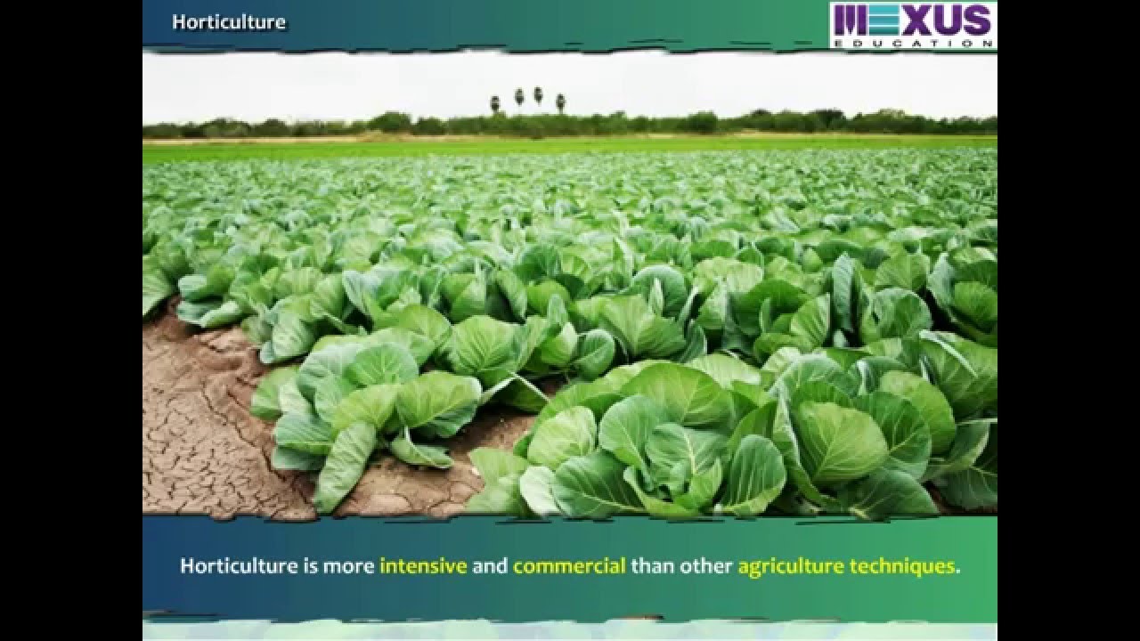 Horticulture and Floriculture in India- ikenschool