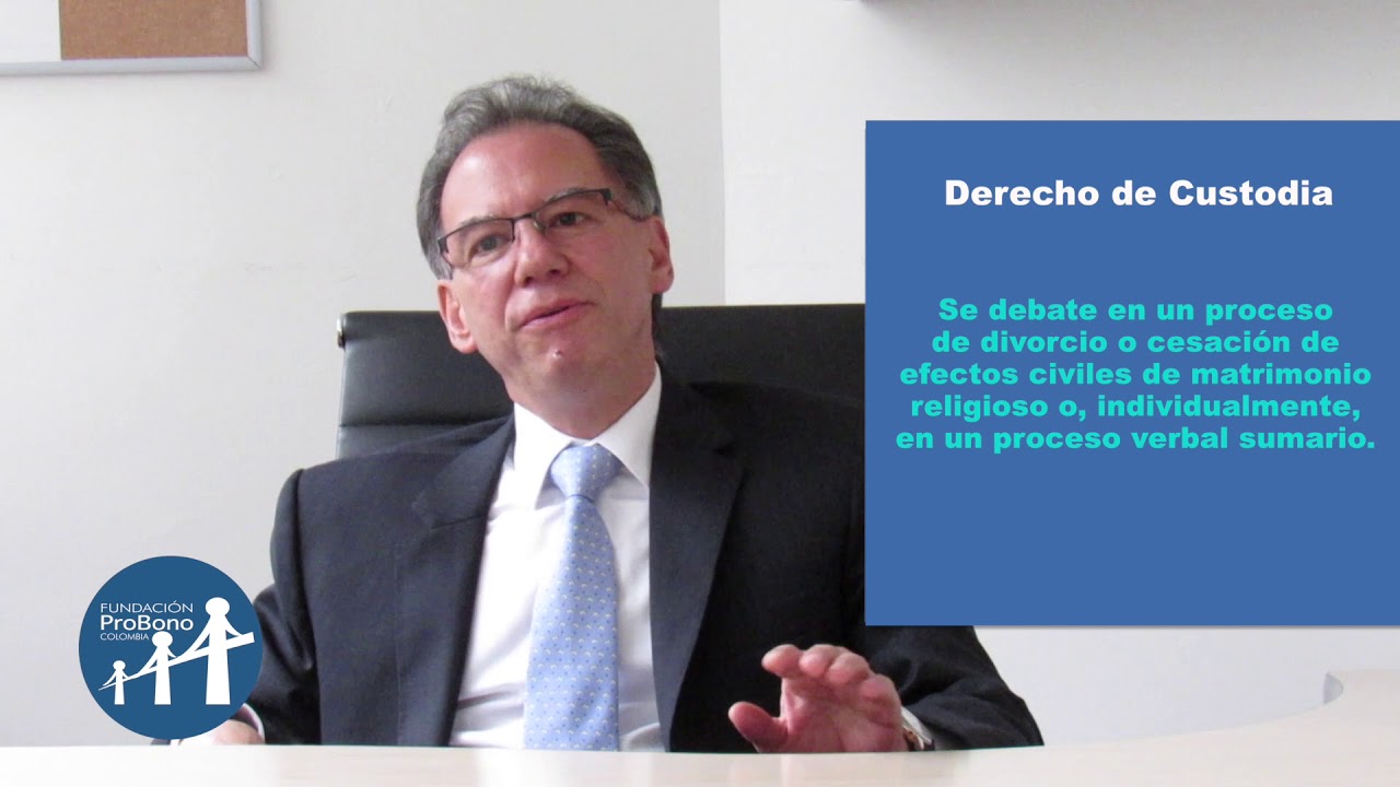 Proceso de Custodia