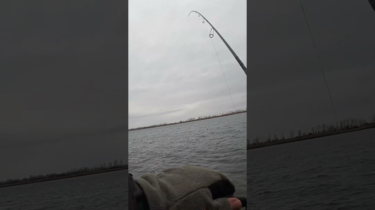 НОВЫЙ Jackall Rerange 85 В ДЕЛЕ #jackall #norstream  #fishing #рыбалка #new #japan