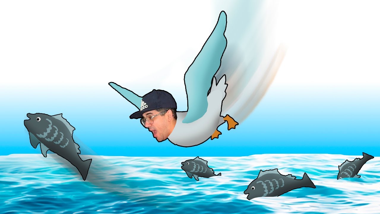 VIREI UMA GAIVOTA QUE PESCA PEIXES NO MEIO DO MAR!