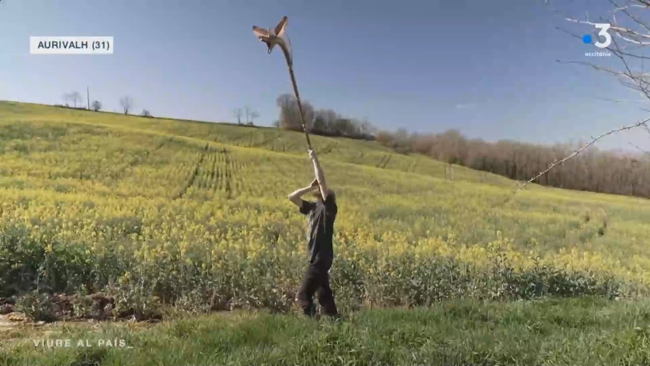 Viure al País - Carnyx // Gofannon